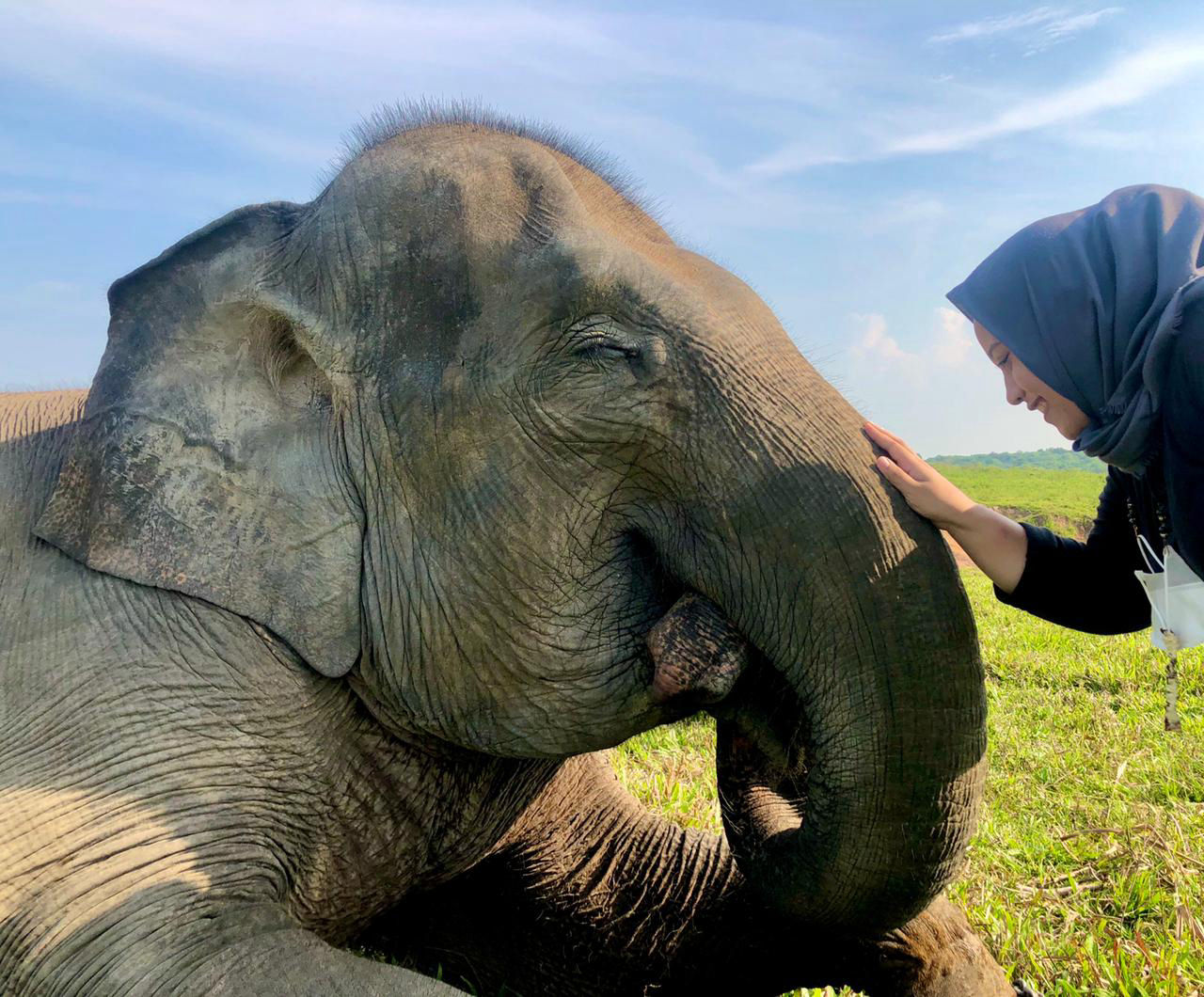 SECI Small Grants Stipendiatin