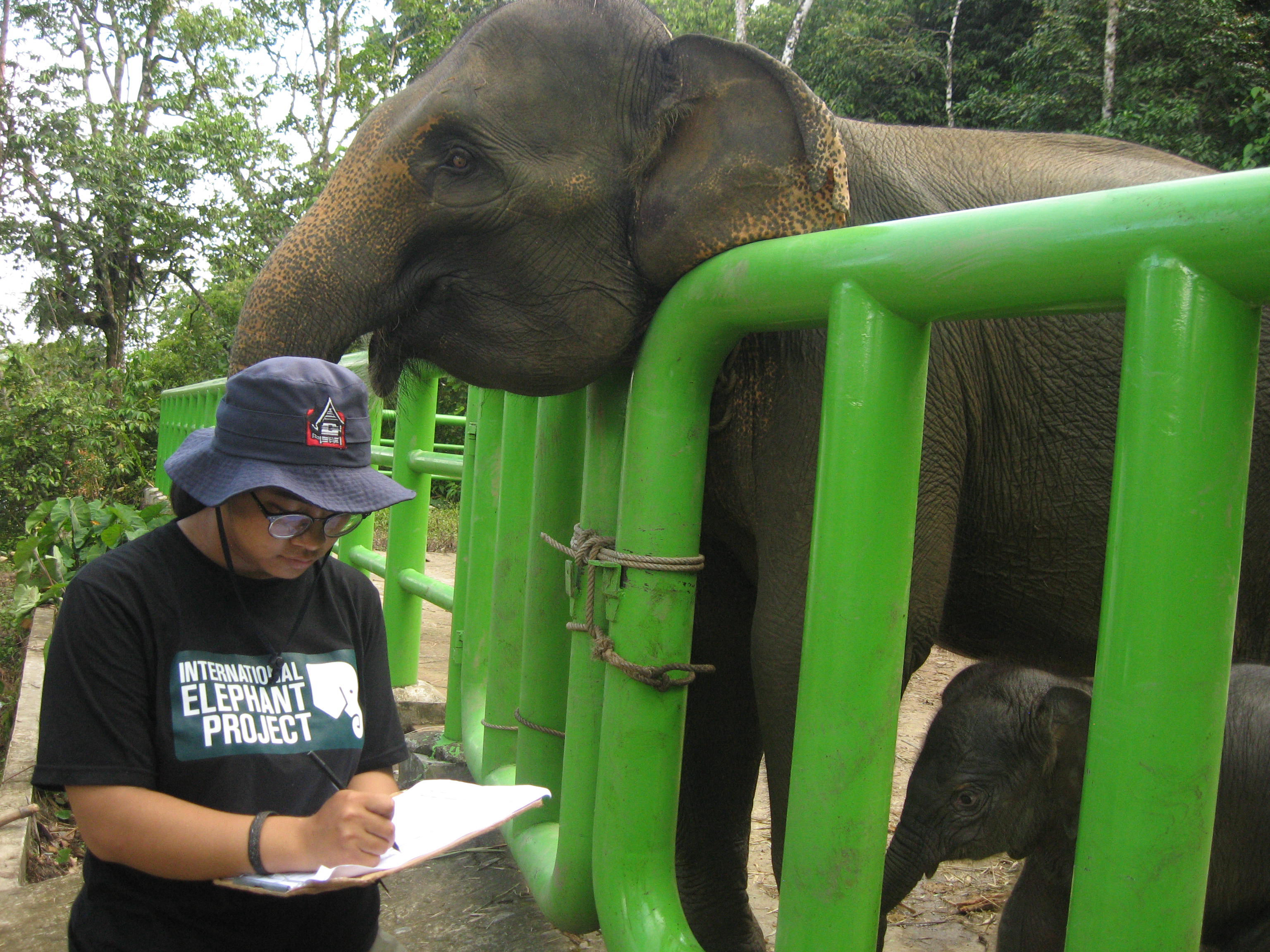 SECI Small Grants Stipendiatin