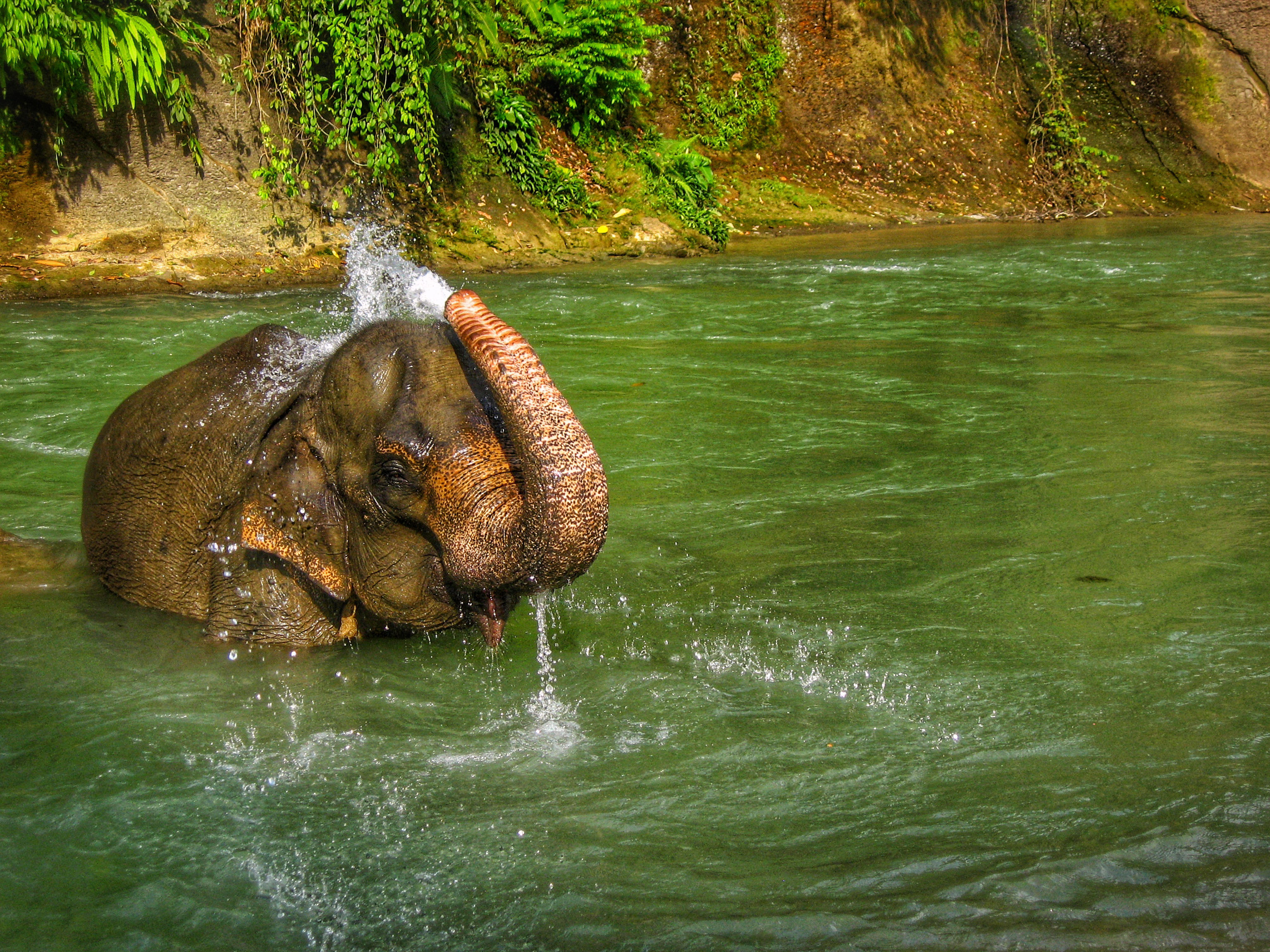 SECI Small Grants Stipendiatin